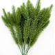 thumbnail image 2 of Ramas de pino artificiales Plantas verdes Agujas de pino-30 piezas, 2 of 5