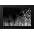 thumbnail image 2 of Frances, Stephanie 24x17 Black Modern Framed Museum Art Print Titled - Branches, 2 of 5