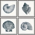 thumbnail image 2 of Gray Sea Shells Quadriptych, 2 of 6