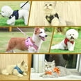 thumbnail image 2 of Harnais et Laisse pour Chat Léger et Réfléchissant - Parfait pour la Marche et l'Entraînement en Extérieur!, 2 of 5