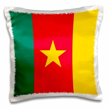 3dRose Cameroon Flag, Pillow Case, 16 by 16-inch