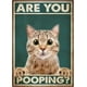 thumbnail image 3 of ¿Estás haciendo caca? Pósteres para el baño, letreros divertidos para el baño, impresiones en lienzo, lindos cuadros de gato negro para pintar en la pared, decoración del baño, 3 of 5