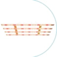 thumbnail image 1 of Plant Growth Light Full Spectrum Board Sunlight UV/IR Greenhouse Tent Hydroponic, 1 of 5