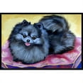 thumbnail image 1 of Carolines Treasures 7503MAT Tapis Intérieur Extérieur 18 x 27 Po. Pomeranian, 1 of 4