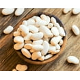 thumbnail image 2 of TomorrowSeeds - White Navy Bean Seeds - 150+ Count - For 2026 Planting Great Northern Beans White, 2 of 8