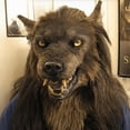 thumbnail image 3 of Máscara de cabeza de hombre lobo realista de látex con forma de perro lobo para Halloween, 3 of 3