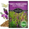 thumbnail image 3 of Purple Prairie Clover Seeds - Full Sun Perennial Native Flower - 3 Packs, 3 of 9