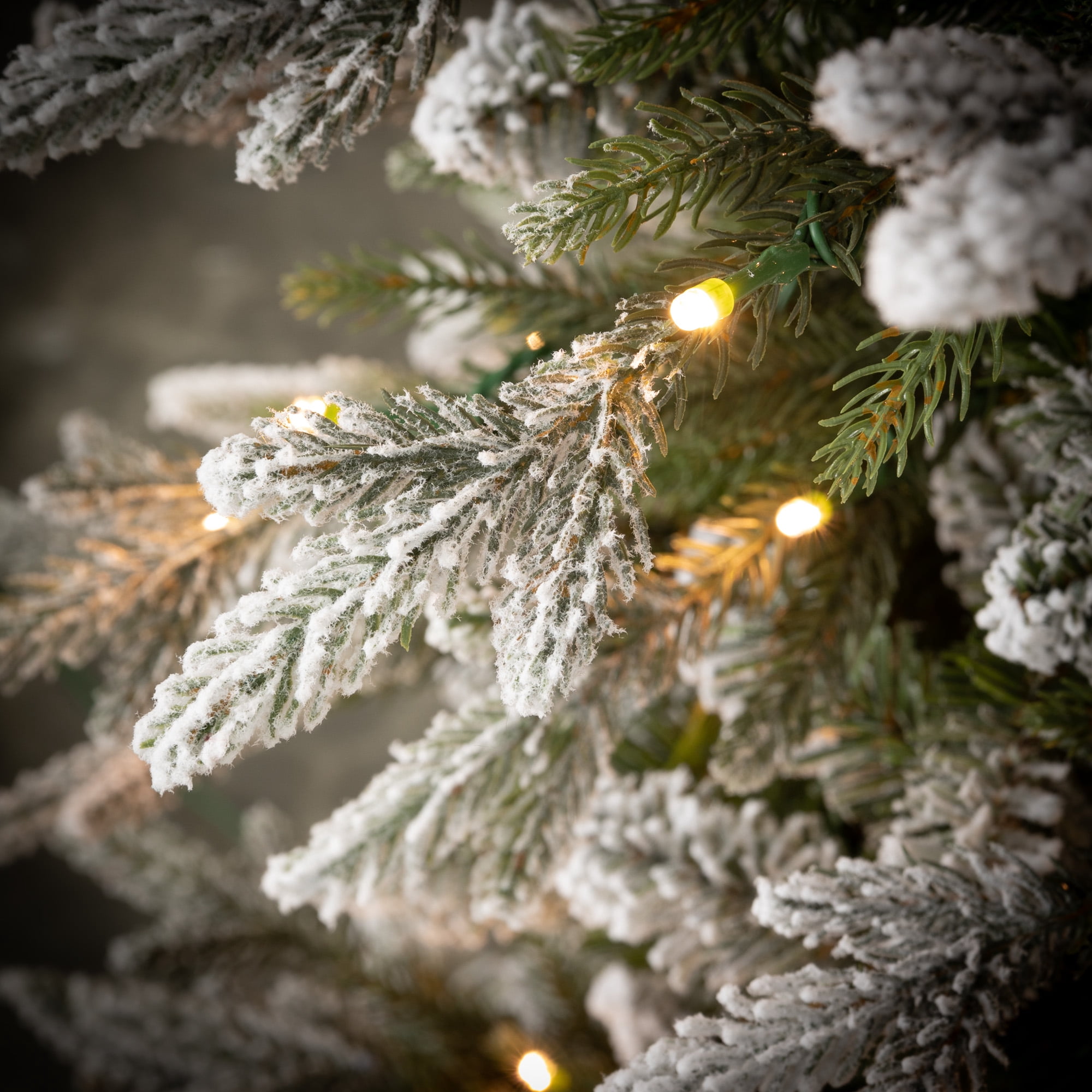 7' Sullivans Potted Lit Snowy Pine Tree, Green