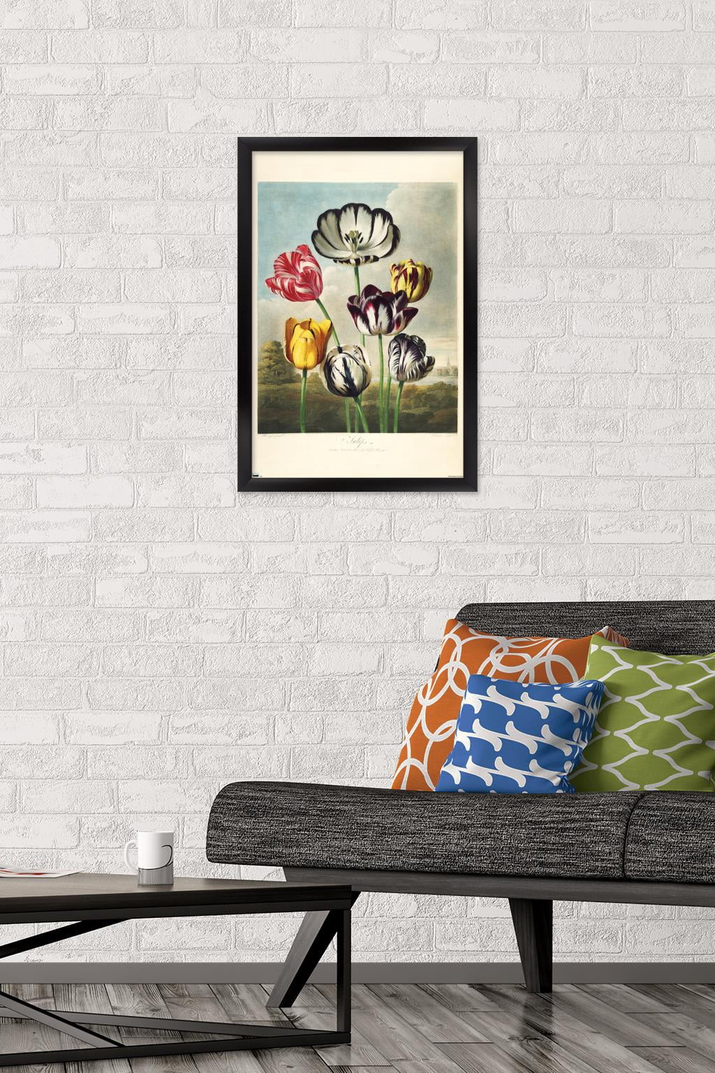 Tulips from the The Temple of Flora Wall Poster, 14.725" x 22.375" Framed