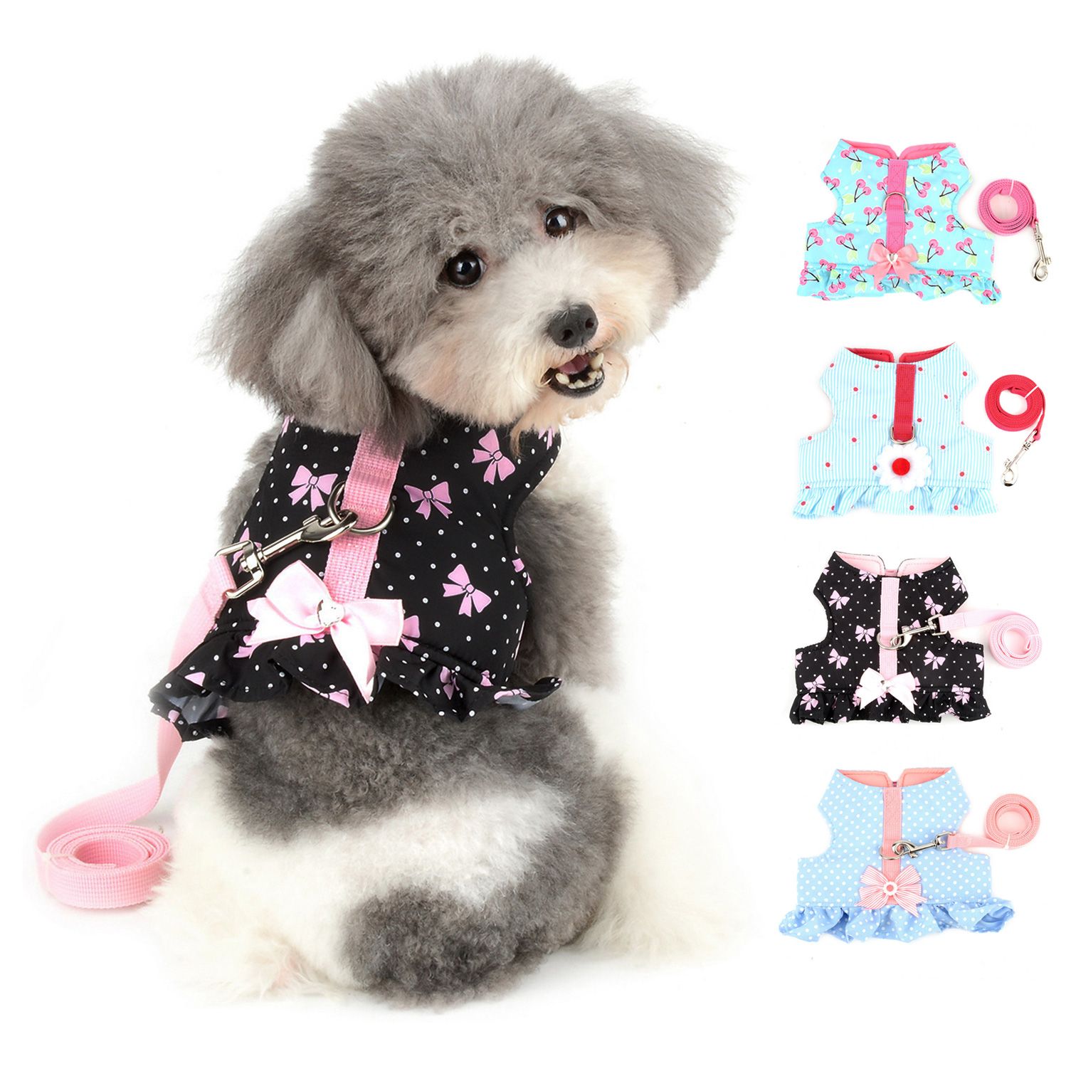 Can Puppy Sleep With Harness On