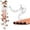 Multicolor, variant on Kokovifyves Home Decor Clearance Star Wind Chime Copper Wind Chime Wind Chimes Outdoor Garden Decor Garden Gifts