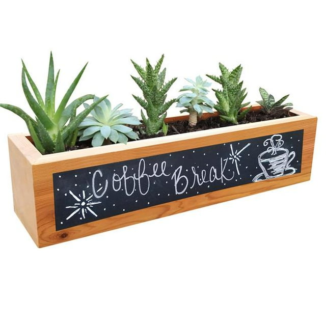 Gronomics SP-RECCB 4 x 4 x 16 Po. Jardinière Rectangulaire pour Succulentes avec Tableau Noir