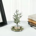 thumbnail image 3 of Plymor 4.5" x 4.5" Round Glass Display Tray (Gold Rim), Pack of 6, 3 of 3