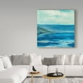 thumbnail image 3 of Trademark Fine Art 'Inlet' Canvas Art by Chris Paschke, 3 of 3