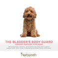 Herbsmith Bladder Care for YPF5 Cats and Dogs Maintains Urinary