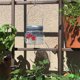 thumbnail image 5 of Alimentador De Colibríes Alimentador de pájaros silvestres de colibrí tarro de alimentación de pájaros de plástico transparente (tipo de taza) Likrtyny Libre de BPA, 5 of 9