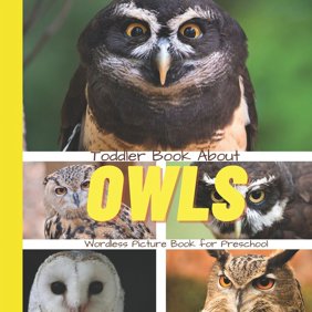 Wordless Picture Books for Toddlers Toddler Book About Owls: A Picture Book for Preschoolers, (Paperback)