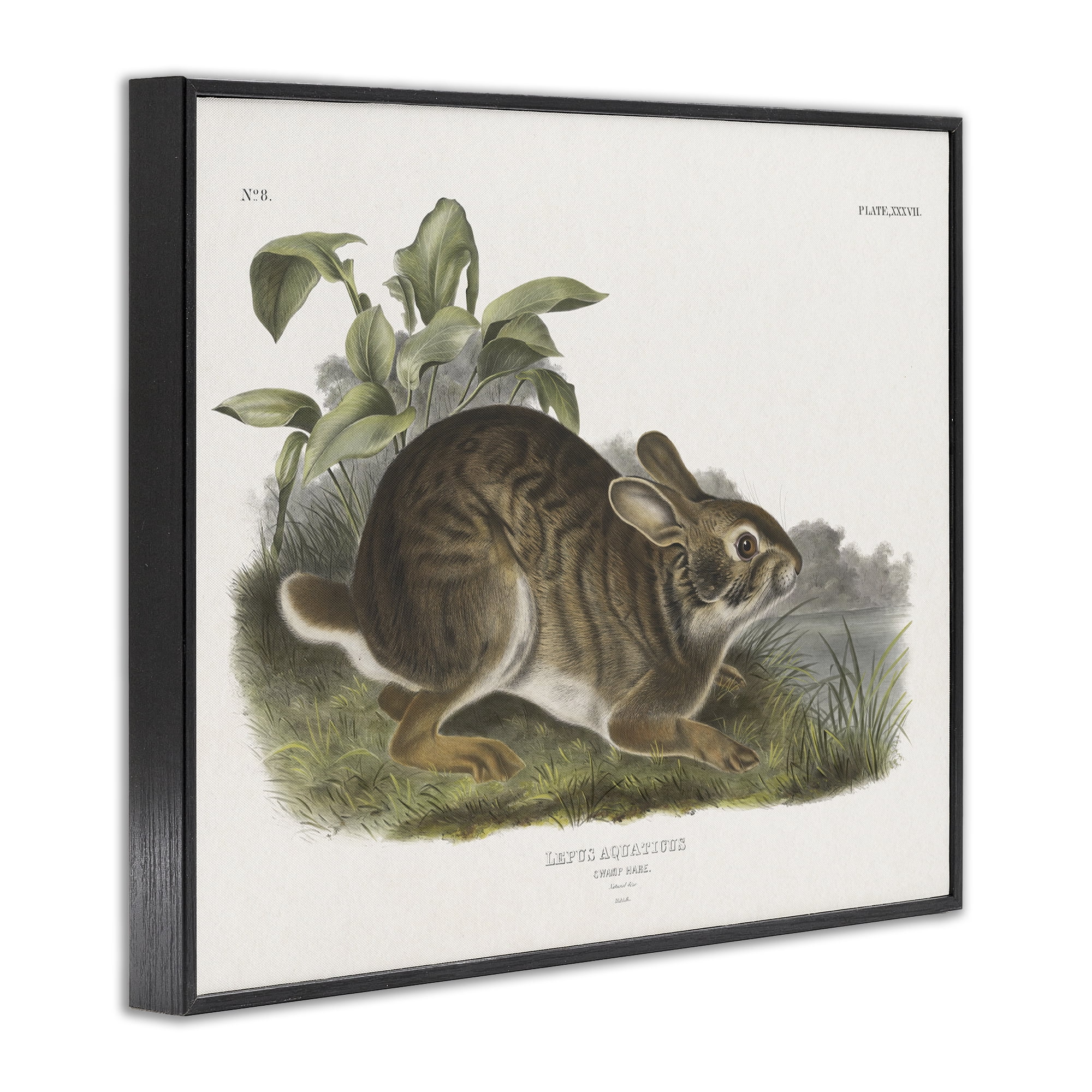 Stupell Industries Vintage Cottage Hare Animals & Insects Painting Black Framed Art Print Wall Art, 30 x 24