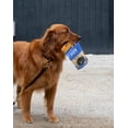 thumbnail image 6 of Bern's Farm Freeze Dried Raw Just Duck Dog & Cat Treats (Single-Ingredient, 2oz bag) Highly Nutritious, Biologically Appropriate Snack for Pets, 6 of 7