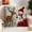C, variant on Dongrere Christmas Pillow Covers for Sofa & Couch - 18x18In Throw Pillow Covers for Winter Holiday Indoor Outdoor Home Red White Xams Decorations