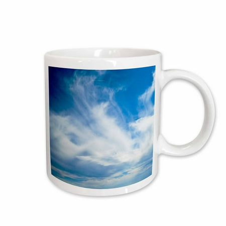 

3dRose A Walk in the Clouds Ceramic Mug 15-ounce