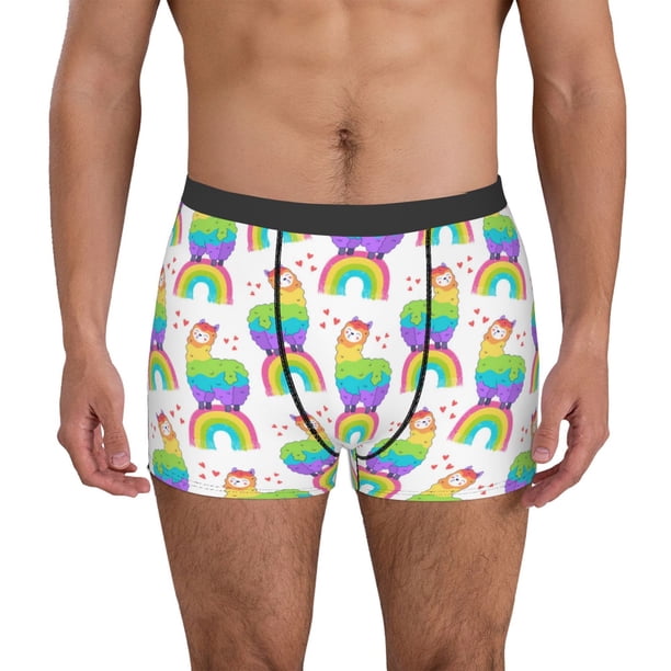 Balery Rainbow Llama Calzoncillos bóxer para hombre, ropa interior de algodón suave y transpirable con cinturilla de nailon-XX-Large