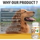 thumbnail image 2 of Suplemento Vita Pet Life Omega 3 Antioxidante DHA EPA Pelaje Brillante Sistema Inmunológico Perro Coco and Luna CL-7585775S, 2 of 2