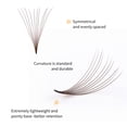 thumbnail image 3 of Extensiones de pestañas FADLASH 10D, 1000 unidades, abanicos prefabricados, color marrón, 3 of 8