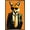 Bronze Framed Version, variant on Andreas Magnusson - Fox In a Suit Wall Poster with Magnetic Frame, 22.375" x 34"