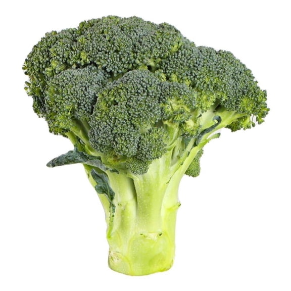 Brócoli por kilo