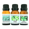 thumbnail image 1 of Crazy Candles 3 Bottles Set, 1 Sage & Ch, 1 of 3