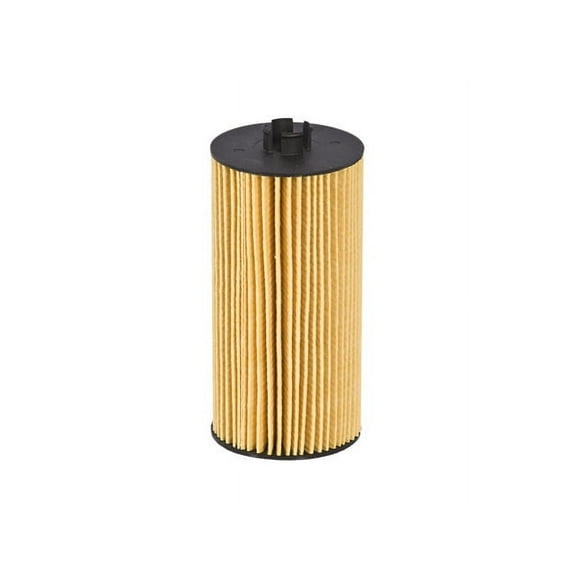 Oil Filter - Compatible with 2004 - 2010 Ford E-450 Super Duty 6.0L V8 2005 2006 2007 2008 2009