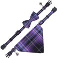 thumbnail image 3 of LAICAIW Breakaway Cat Collar with Bells-2 Pack Cat Collar with Bells, Cat Collars with Bandana, Accessories for Pet Collars, Adjustable for Cats and Small Dogs (Purple), 3 of 6