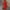 Red, variant on Yesqmun Shift Dress Tshirt Dress Women Fashionable And Half Sleeved Cotton And Linen Dress Casual Dresses for Women Modest Dresses for Women Blue L
