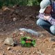 thumbnail image 1 of BESTYASH De Para Reptiles Natural Resistente Para Terrarios Y Hogar, 1 of 6