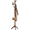 Brown, variant on TickJOY Wood Coat Rack Stand – Adjustable Standing Coat Tree with 8 Hooks, Brown Coat Hanger Stand for Bedroom, Hallway, Entryway, or Office