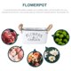 thumbnail image 3 of unbranded 1Ud Maceta Sencilla De Hierro Con Antideslizante Para Plantas, 3 of 6