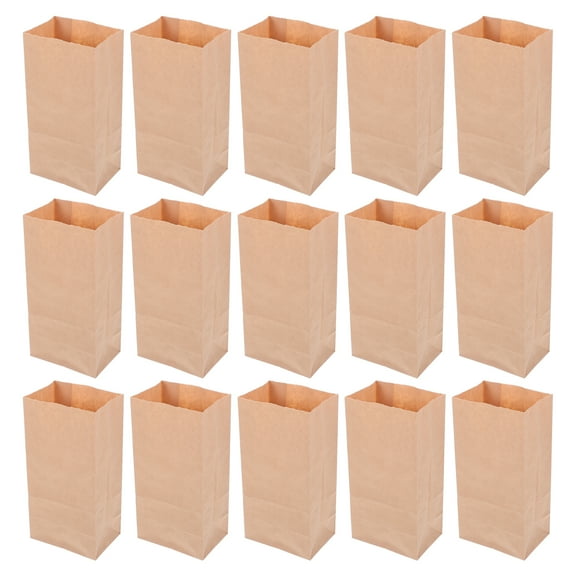 50pcs Paper Goodie Bags Present Bag For Party Favors Birthday Party Favors Holiday Presents Reusable Paper Bag For All Celebrations