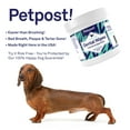 thumbnail image 3 of Petpost | Dental Wipes for Dogs - Bad Breath Gone in Days - 100 Presoaked Pads in Natural Tooth Cleaning Solution, 3 of 7