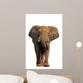 thumbnail image 1 of African Elephant White Wall Decal by Wallmonkeys Peel and Stick Graphic (24 in H x 19 in W) WM206284, 1 of 4