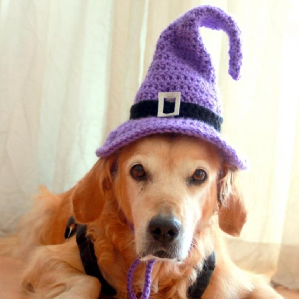 Dog wizard hat hot sale