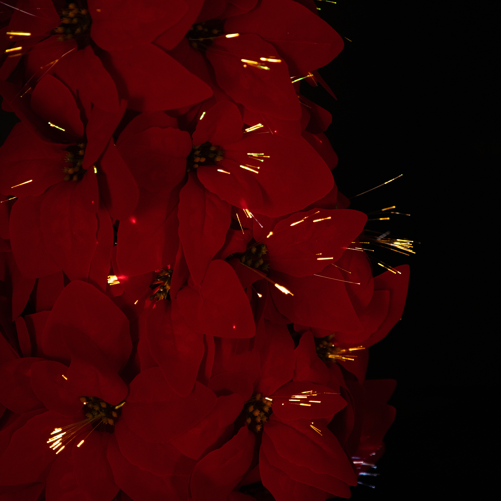 Pre-Lit Fiber Optic Color Changing Red Poinsettia Christmas Tree - 3'