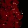 thumbnail image 6 of Northlight Pre-Lit Fiber Optic Color Changing Red Poinsettia Christmas Tree - 3', 6 of 9