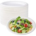 thumbnail image 1 of Heavy Duty Paper Plates, 10 Inch, White, 300 Count, Hot and Cold Food Safe, 1 of 5