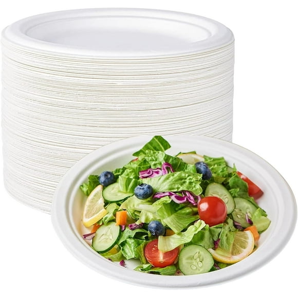 Heavy Duty Paper Plates, 10 Inch, White, 300 Count, Hot and Cold Food Safe