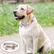 thumbnail image 3 of FloreceBien Collar para perro, collar ajustable para perro, collar suave para perro, collar de algodón para mascotas, 3 of 5