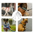 thumbnail image 3 of MOVTOTOP Laisse pour Chien Robuste avec Coussin à Ressort Absorbant les Chocs, 2 Pcs, 3 of 7