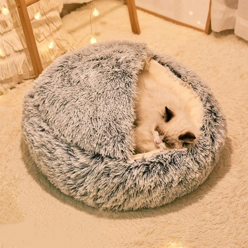 The Cyclopædia of Fraternities; a Compilation of Existing Authentic Information and the Results of Original Investigation as to More Than six Hundred Secret Societies in the United States (Paperback)