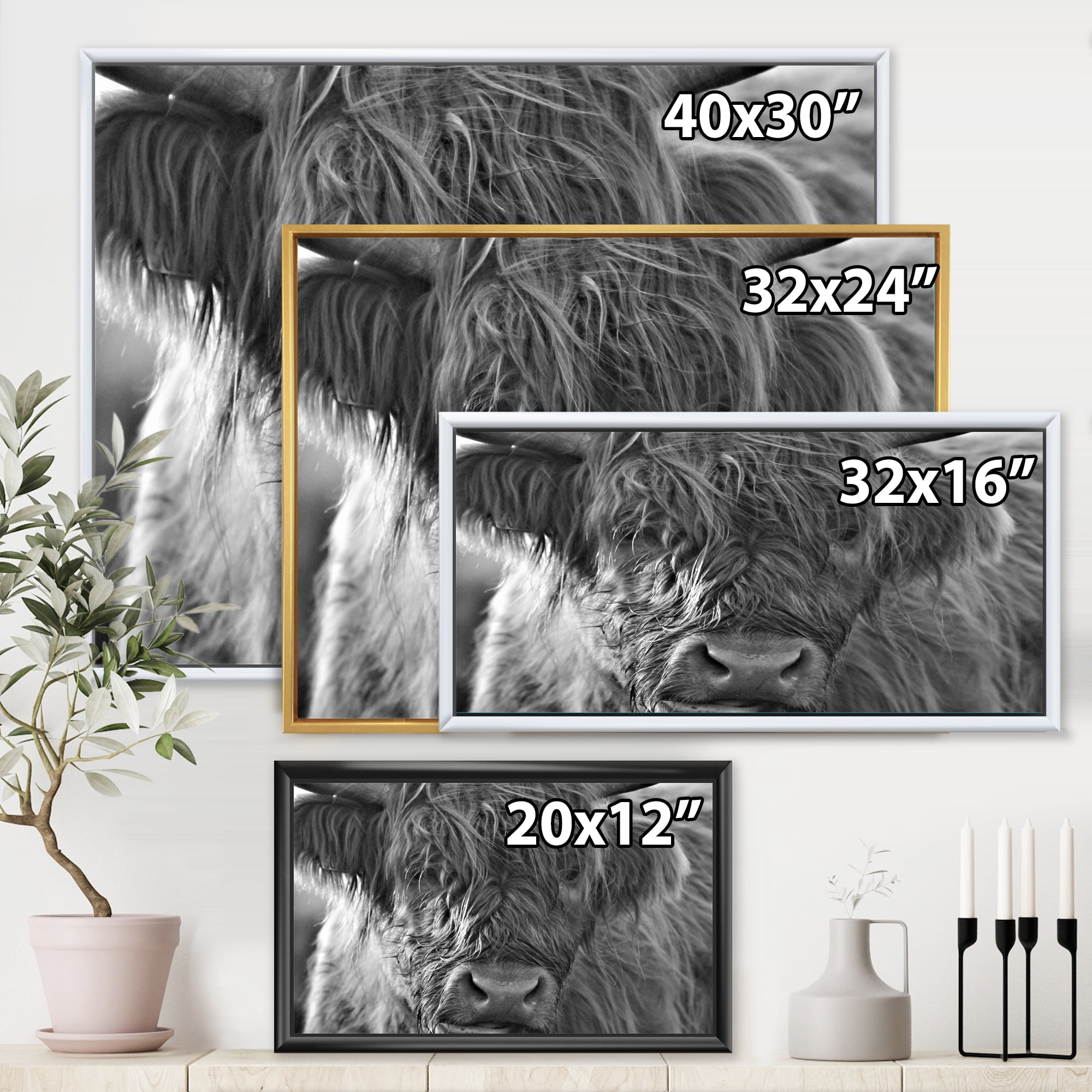 Close Up Scottish Highland Cows Living On Moorland 32 in x 24 in Framed Photography Canvas Art Print, by Designart