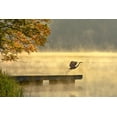 thumbnail image 2 of Zhang, Eric 24x18 Black Ornate Wood Framed with Double Matting Museum Art Print Titled - Morning flight, 2 of 4